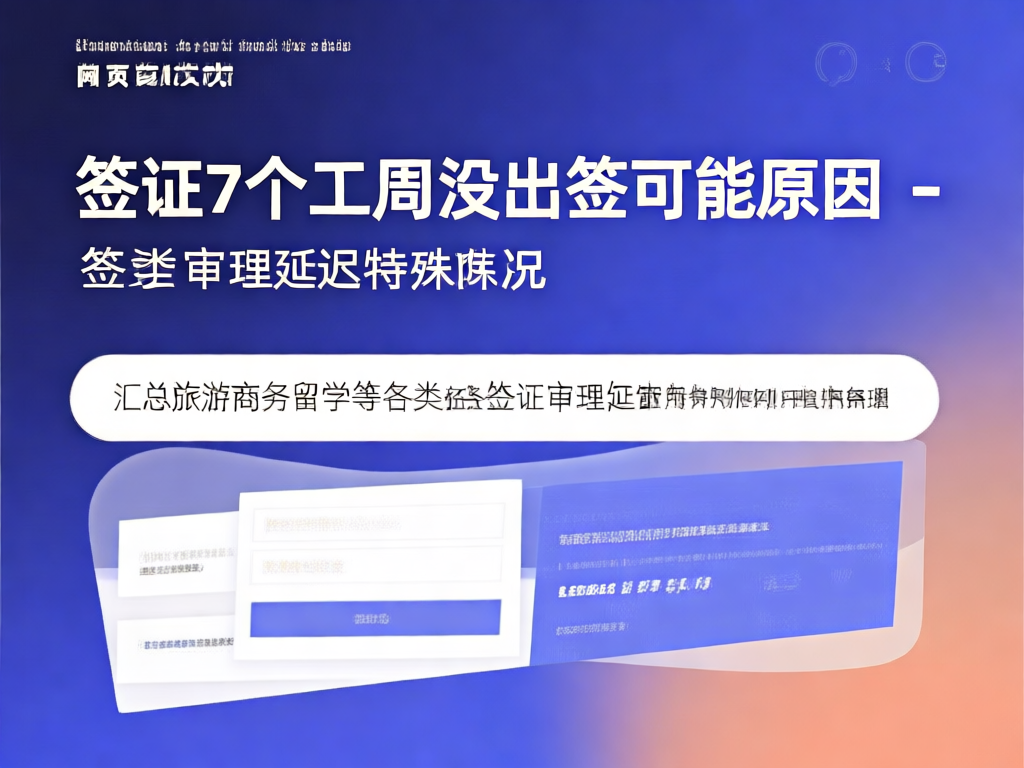 签证审理流程图